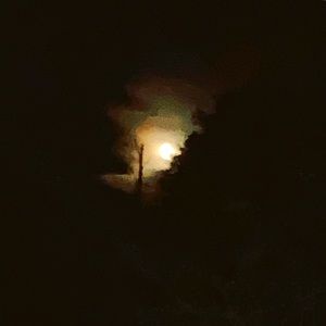 Meet your Posher, Anita